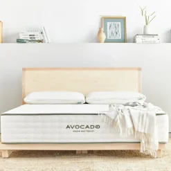 Best Avocado Green Standard Queen Mattresses|All Mattresses