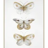 Butterflies Wall Art Wall Art