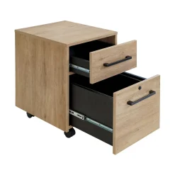 Colby Rolling File Cabinet Bookcases & File Cabinets