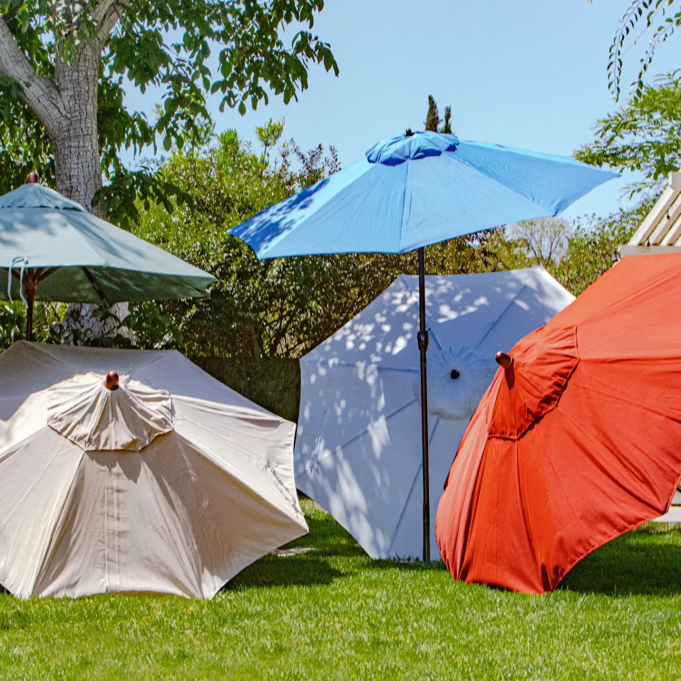 Online Coral Coast Cantilever Umbrella Outdoor Umbrellas
