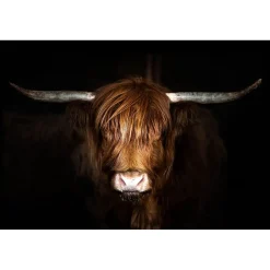 Best Hyland Cow Glass Wall Art Wall Art