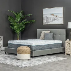 Sale Pro Hybrid Medium Twin Xtra Long Mattress & Contempo IV Adjustable Power Base Twin Mattresses