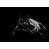 Sale 60" x 40" Black Panther Glass Wall Art Wall Art