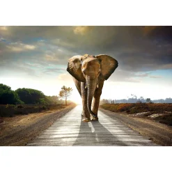 New 40" x 60" Lone Elephant Glass Wall Art Wall Art